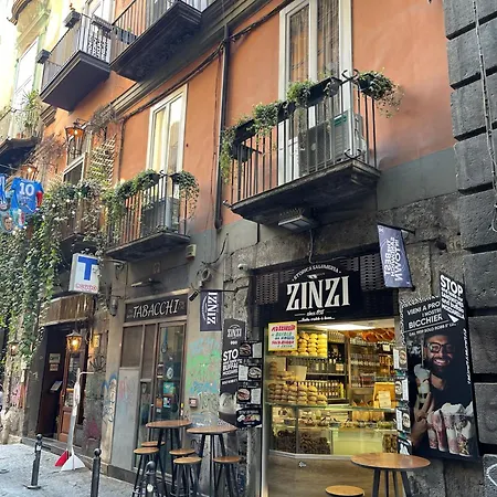 Apartament Spinelli House *